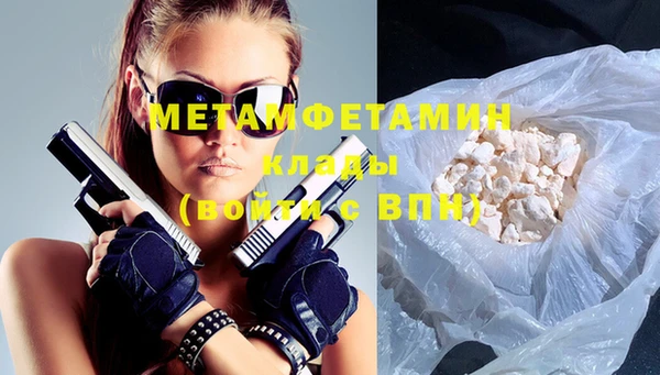 прущие грибы Новосибирск