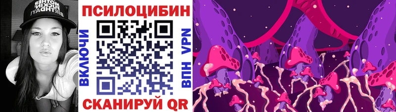 Галлюциногенные грибы Psilocybe купить наркотики сайты Питкяранта